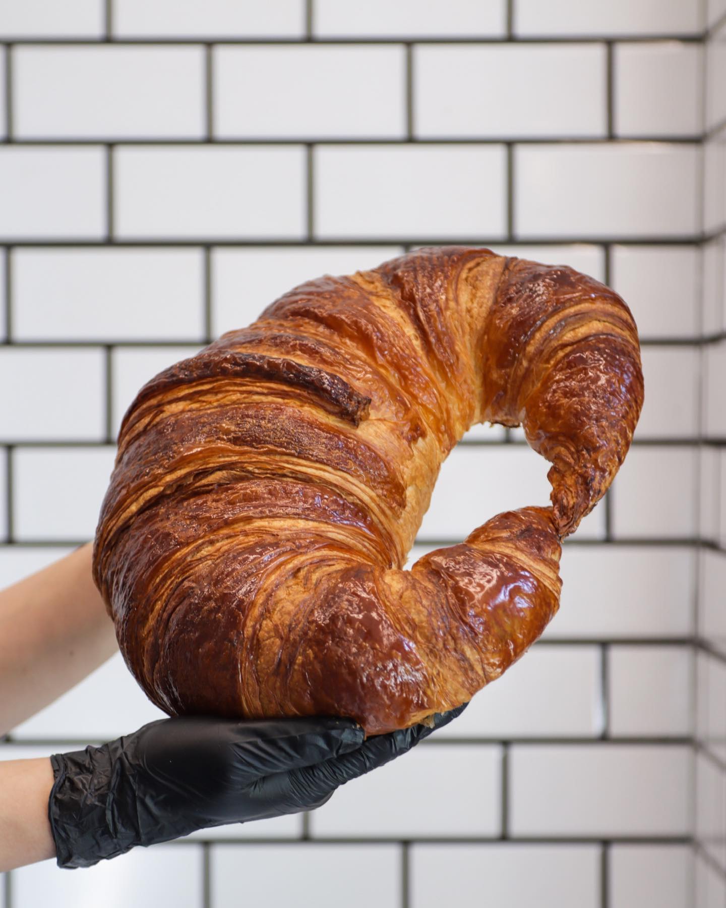 BlackBixon - viral croissant