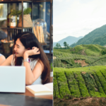 Malaysia’s DE Rantau Is The Top Digital Nomad Pass! Here’s Why It’s The Best Choice Among Other ASEAN Nomad Passes