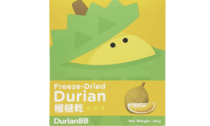 DurianBB Freeze Dried Durian Malaysia