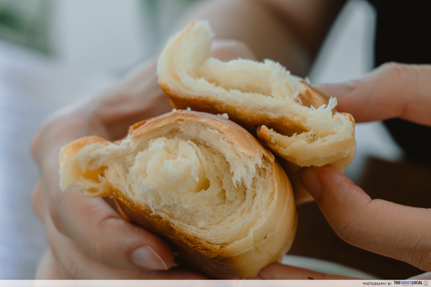 shio pan malaysia - kefi kohi